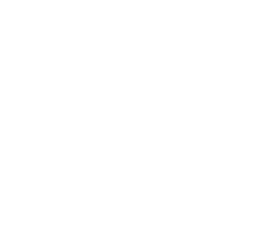 Lower Back Pain